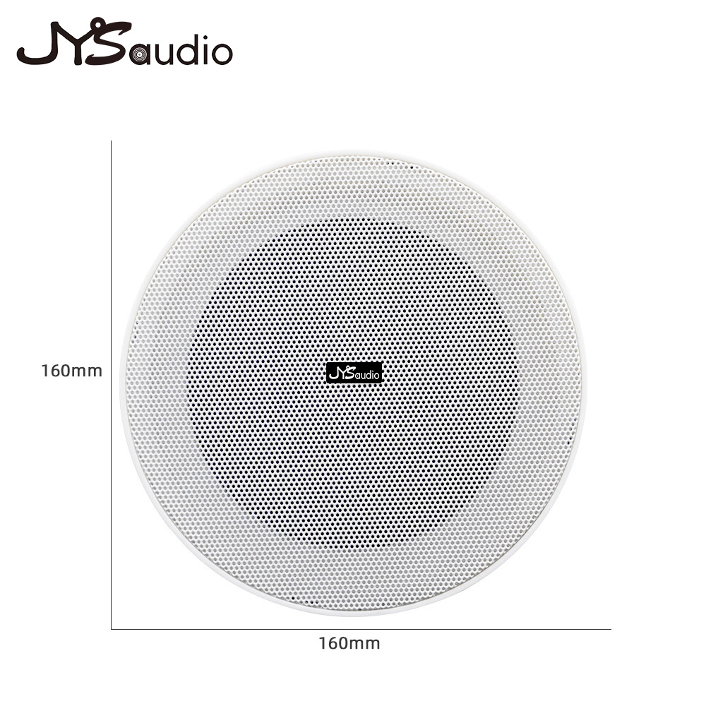 Framless Ceiling Speaker 10W 8 - Smart Home Speaker recension och pris